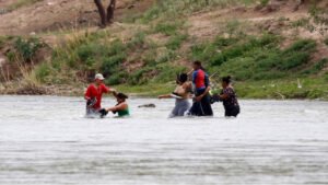 Read more about the article Migrating: Many Rivers to Navigate