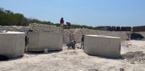 Lee más sobre el artículo Tren Maya: El Orgullo de México
