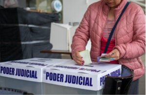 Read more about the article Electoral Reform: Who Gets the Power?