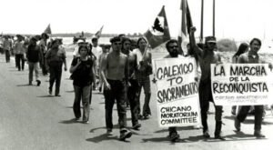 Read more about the article Get Out! Don’t Gringo our Cinco!