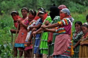 Lee más sobre el artículo Tierra y Libertad: La Lucha Continúa